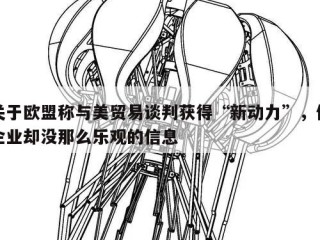 关于欧盟称与美贸易谈判获得“新动力”，但企业却没那么乐观的信息