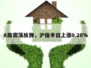 A股震荡反弹，沪指半日上涨0.26%